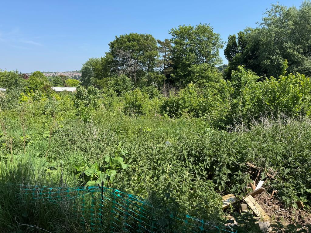 Lot: 28 - APPROXIMATELY THREE QUARTERS OF AN ACRE OF FREEHOLD LAND WITH POTENTIAL - A General View of the Land